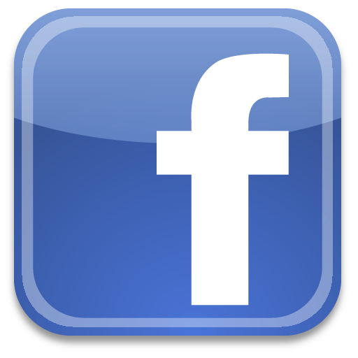 20101117101659-logo-facebook1.png